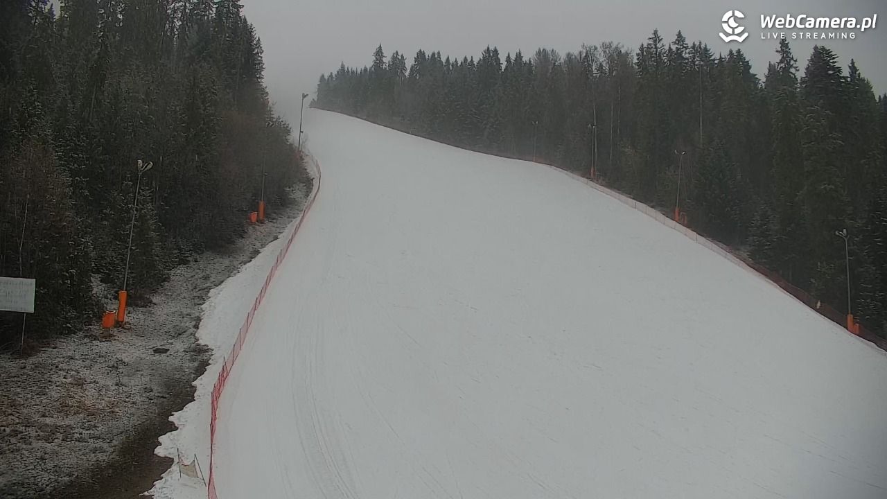KOTELNICA - Pasieka Express - 17 marzec 2026, 17:11