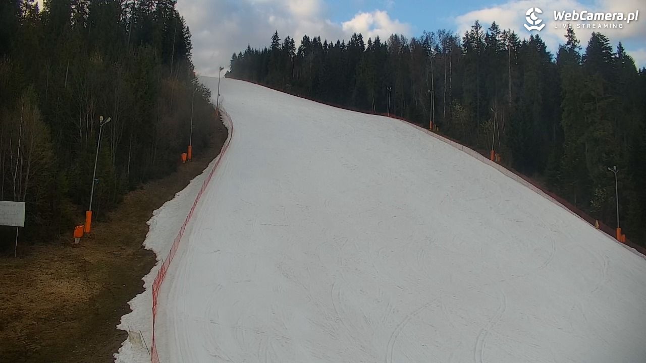 KOTELNICA - Pasieka Express - 19 marzec 2026, 16:33