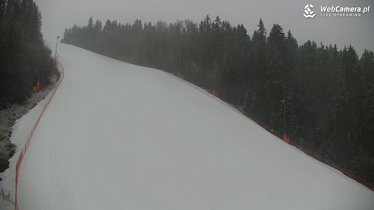 KOTELNICA - Pasieka Express - 17 marzec 2026, 17:07