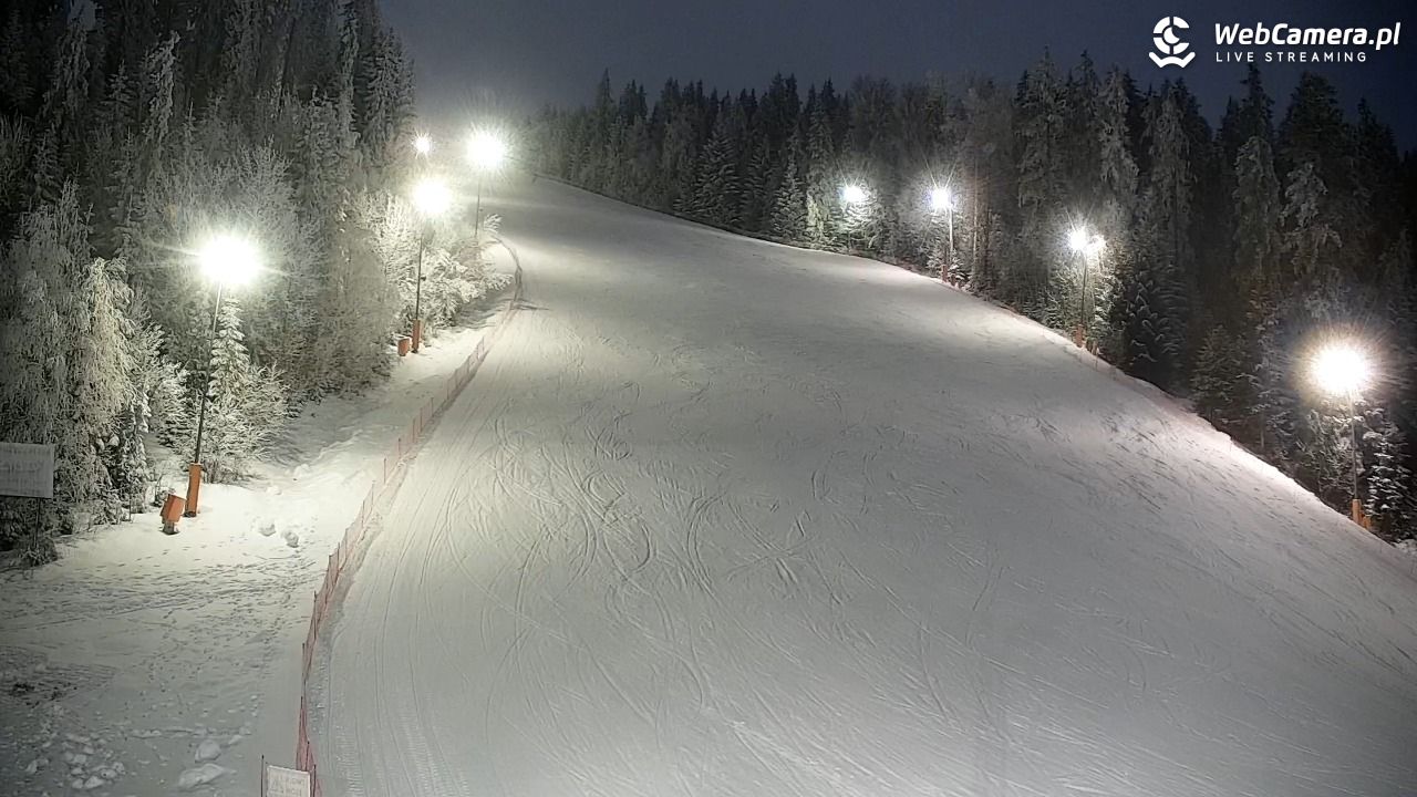 KOTELNICA - Pasieka Express - 01 luty 2026, 17:14