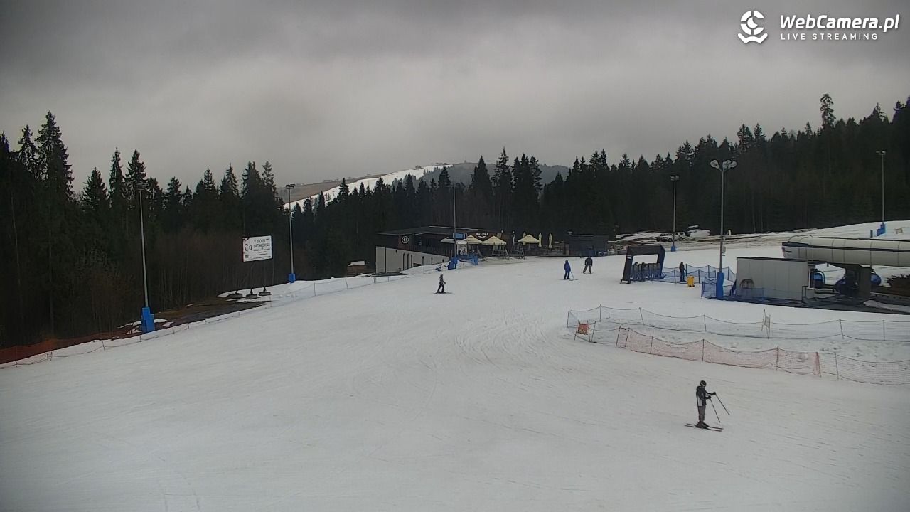 KOTELNICA - Pasieka Express - 17 marzec 2026, 13:58