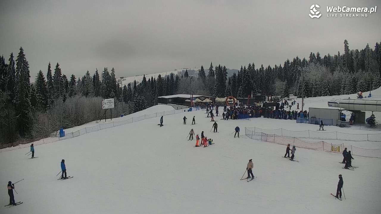 KOTELNICA - Pasieka Express - 02 luty 2026, 11:43