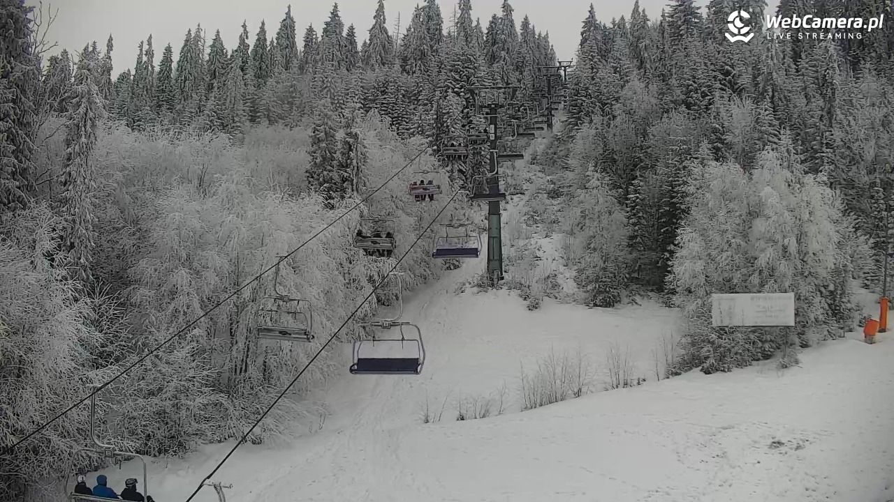 KOTELNICA - Pasieka Express - 01 luty 2026, 12:42