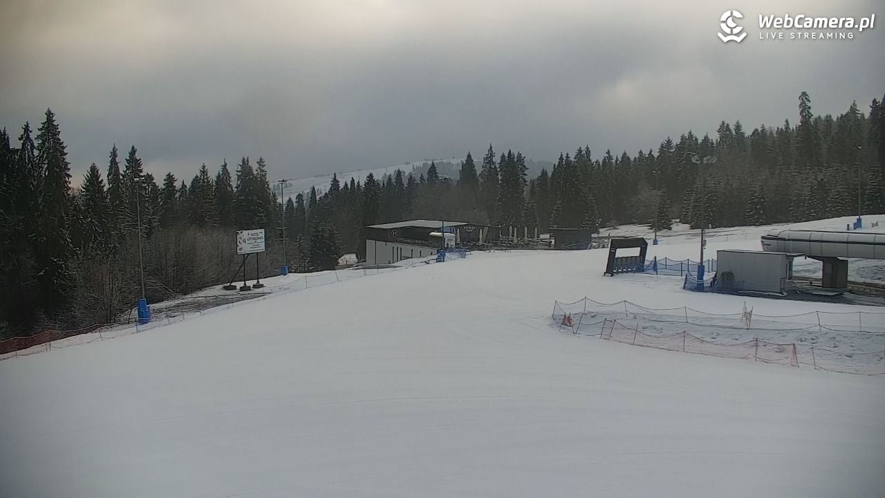 KOTELNICA - Pasieka Express - 21 marzec 2026, 06:52