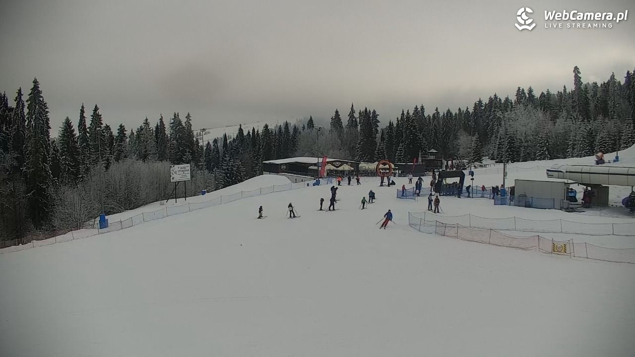 KOTELNICA - Pasieka Express - 02 luty 2026, 10:05