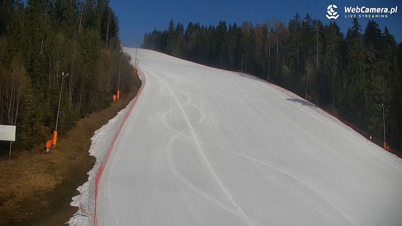 KOTELNICA - Pasieka Express - 18 marzec 2026, 09:04