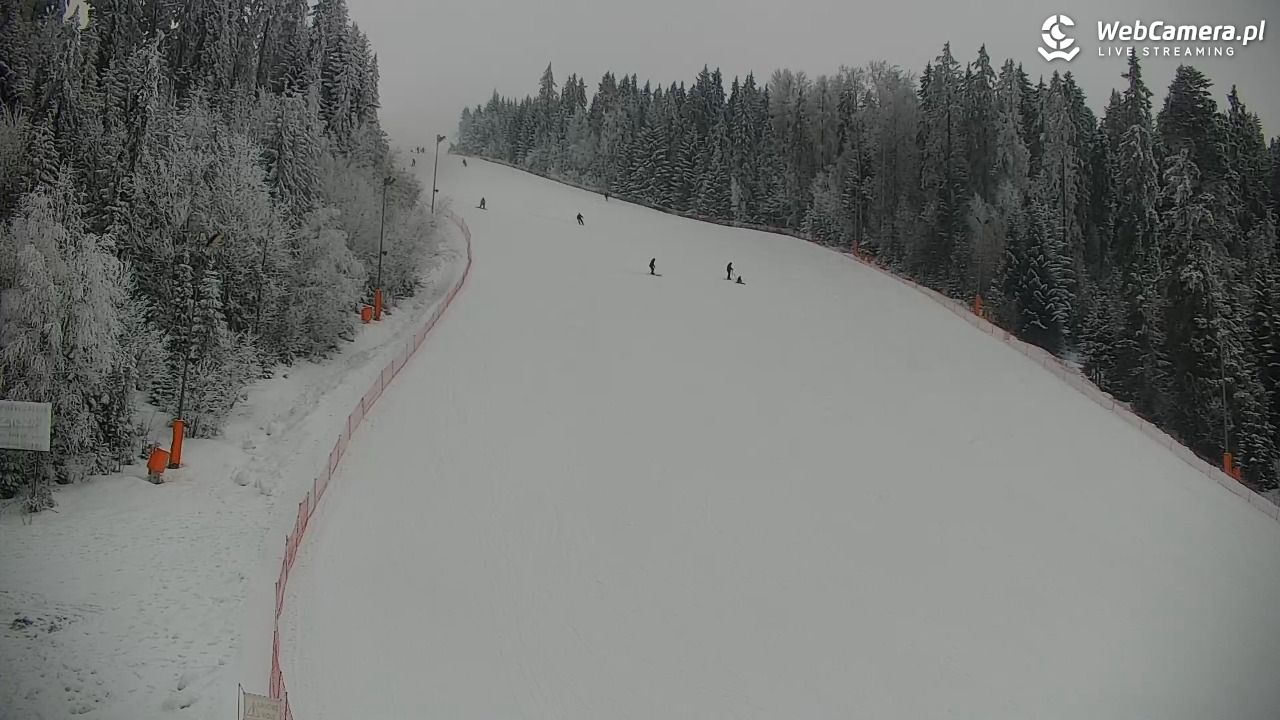 KOTELNICA - Pasieka Express - 01 luty 2026, 14:56