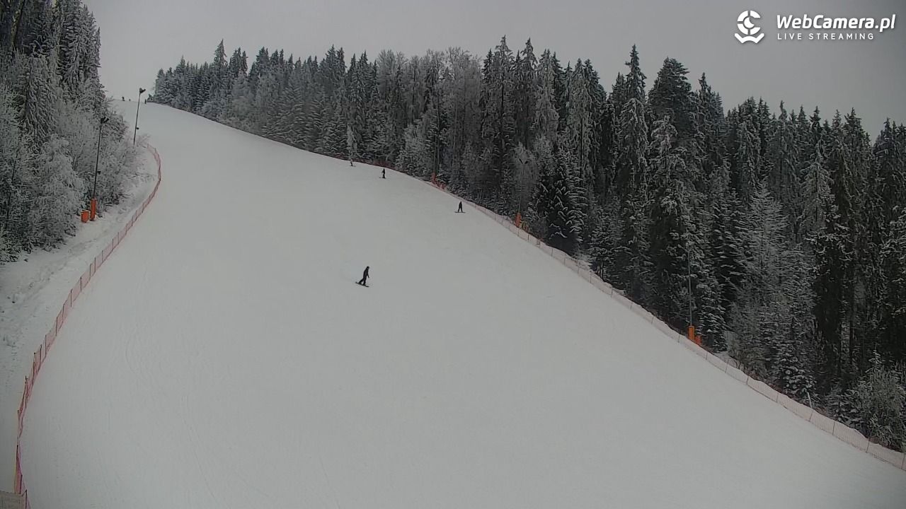 KOTELNICA - Pasieka Express - 02 luty 2026, 11:56