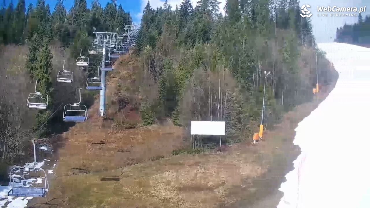 KOTELNICA - Pasieka Express - 21 marzec 2026, 09:51