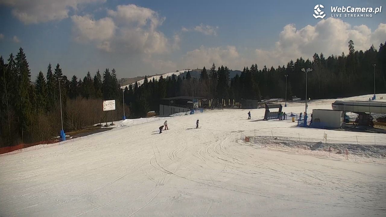 KOTELNICA - Pasieka Express - 18 marzec 2026, 10:47