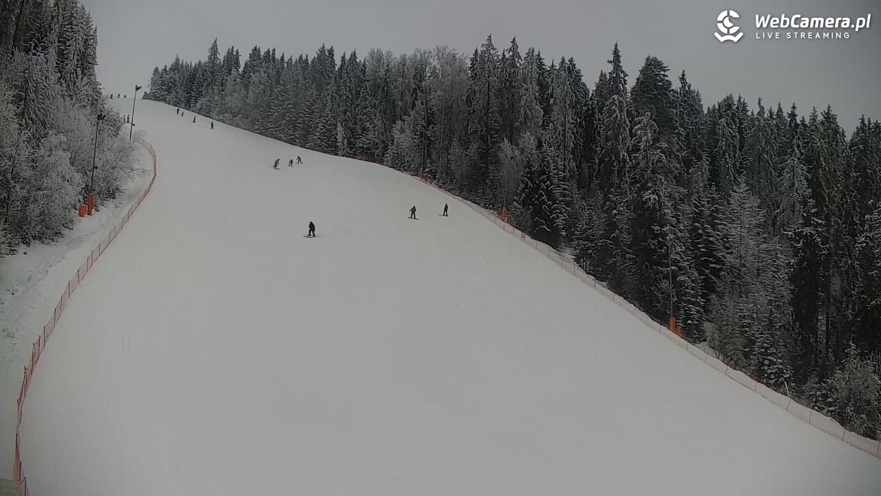 KOTELNICA - Pasieka Express - 02 luty 2026, 12:10