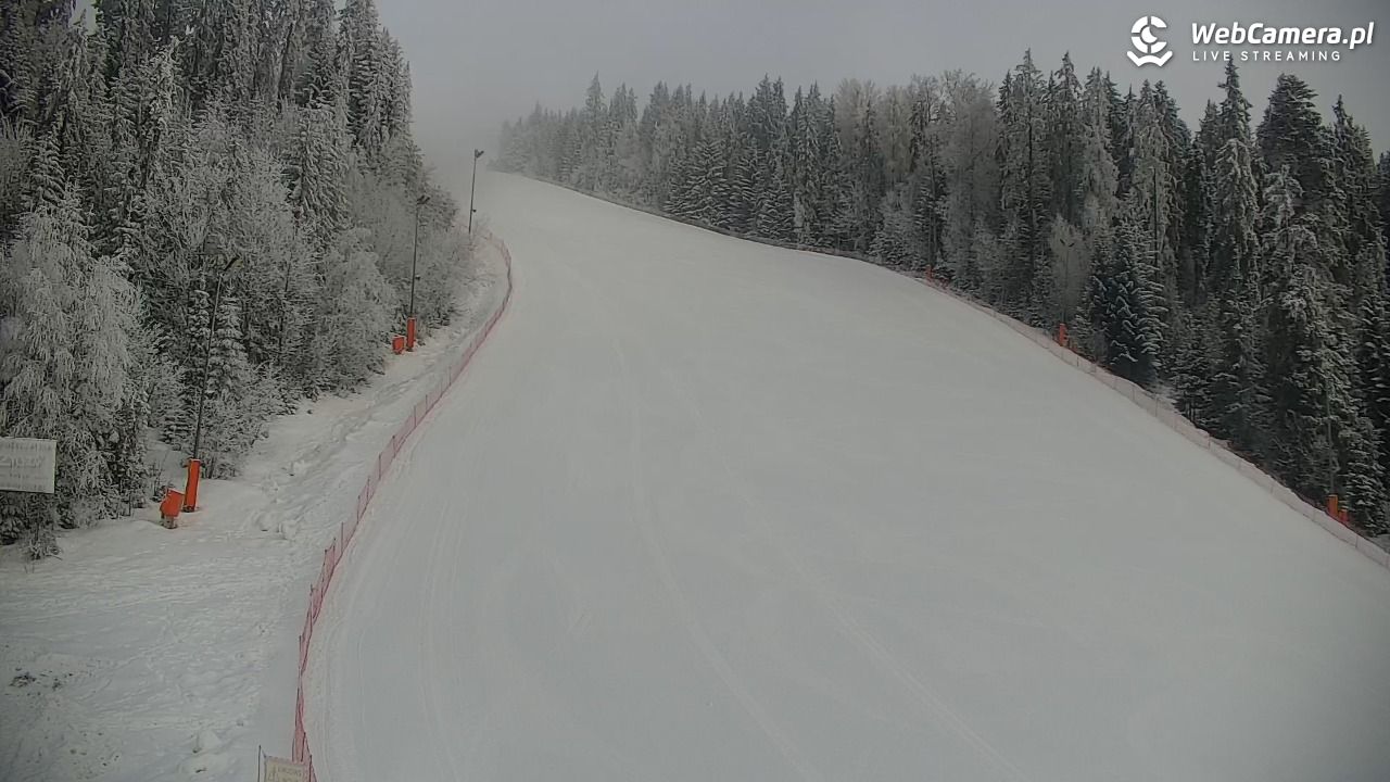 KOTELNICA - Pasieka Express - 01 luty 2026, 08:59