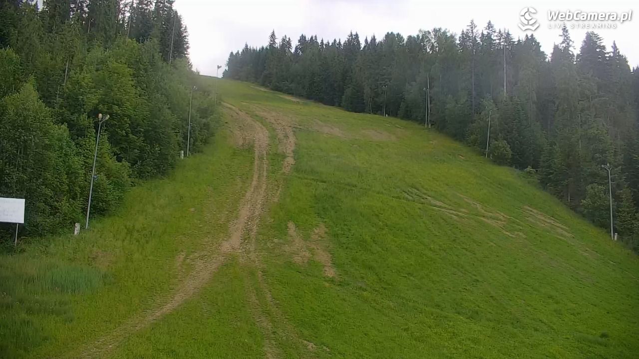 KOTELNICA - Pasieka Express - 17 czerwiec 2026, 16:38