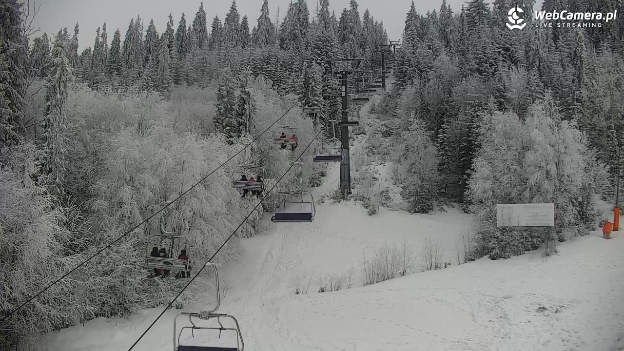 KOTELNICA - Pasieka Express - 01 luty 2026, 16:19