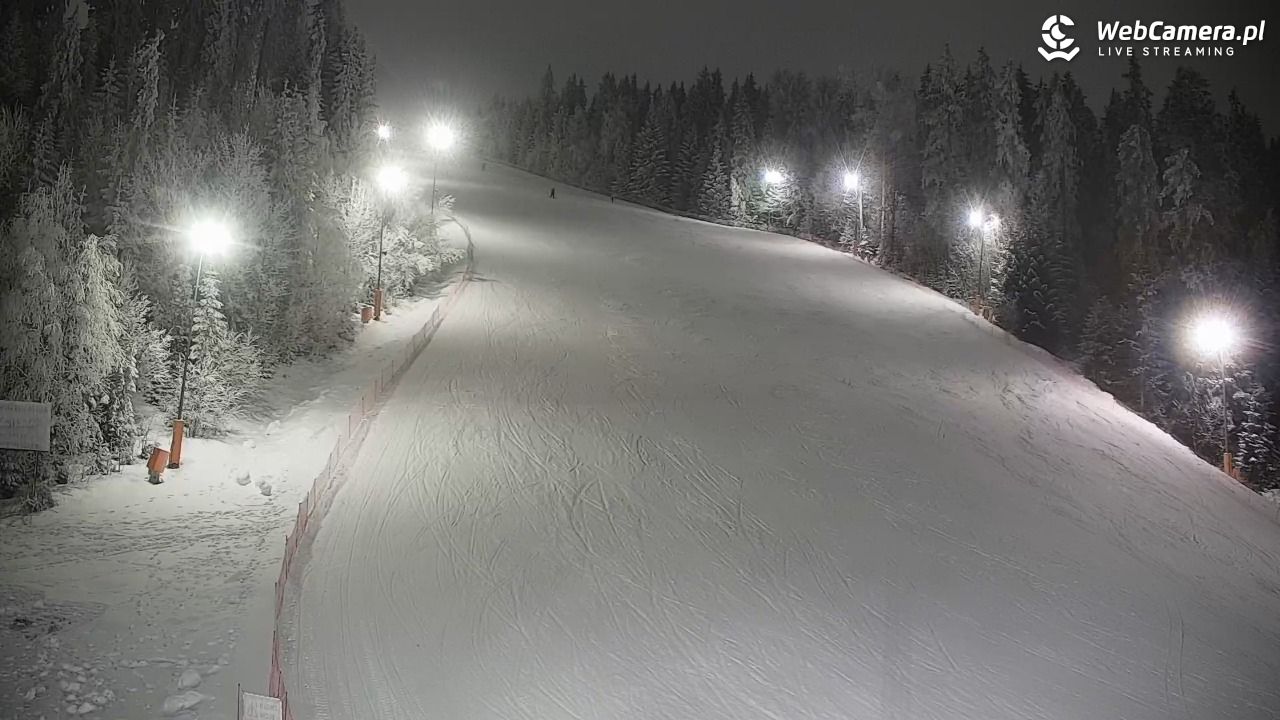 KOTELNICA - Pasieka Express - 01 luty 2026, 19:51