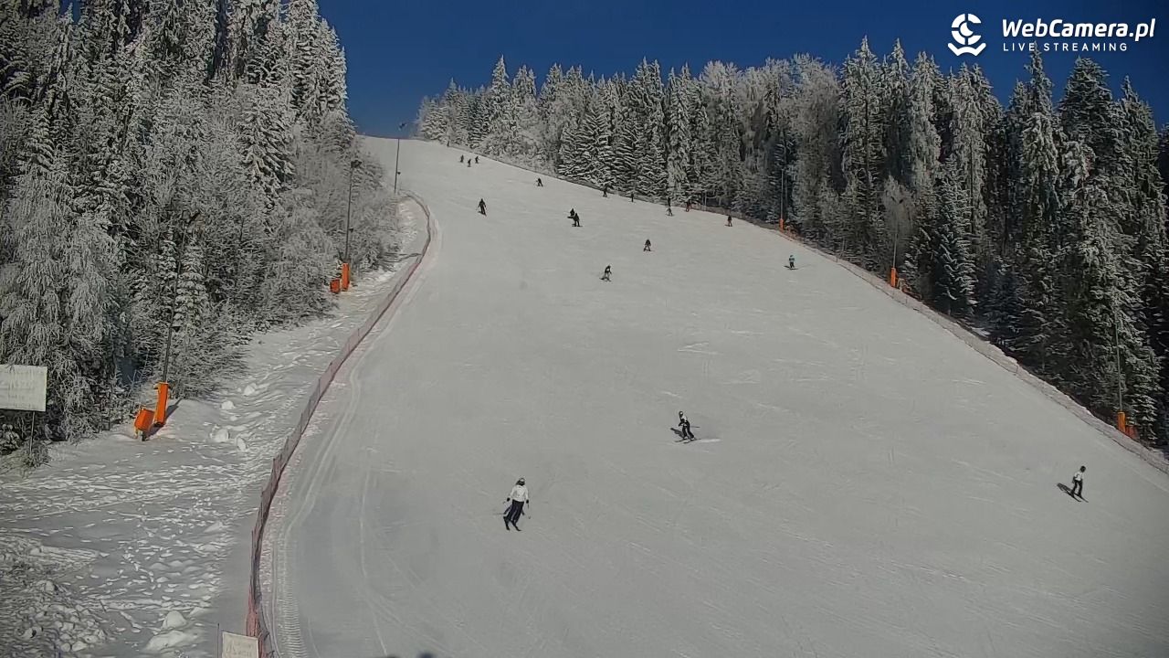 KOTELNICA - Pasieka Express - 01 luty 2026, 10:27