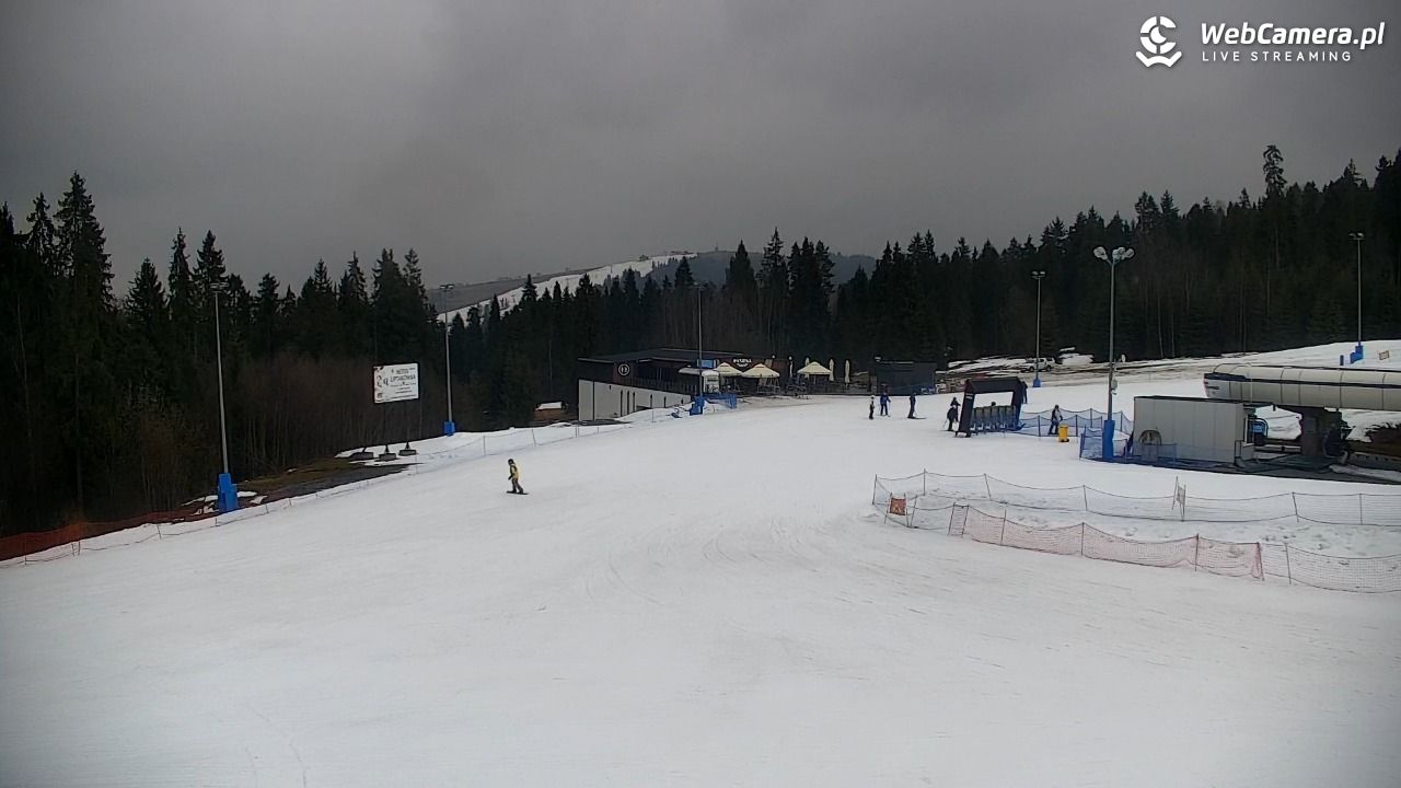 KOTELNICA - Pasieka Express - 17 marzec 2026, 12:38