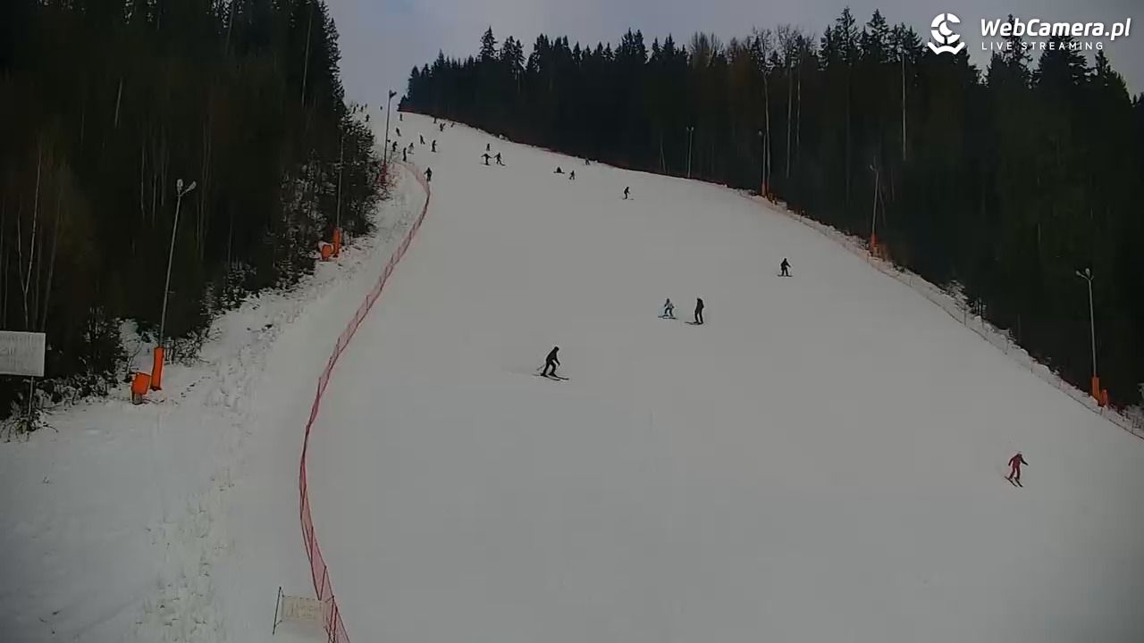 KOTELNICA - Pasieka Express - 07 grudzień 2025, 10:50