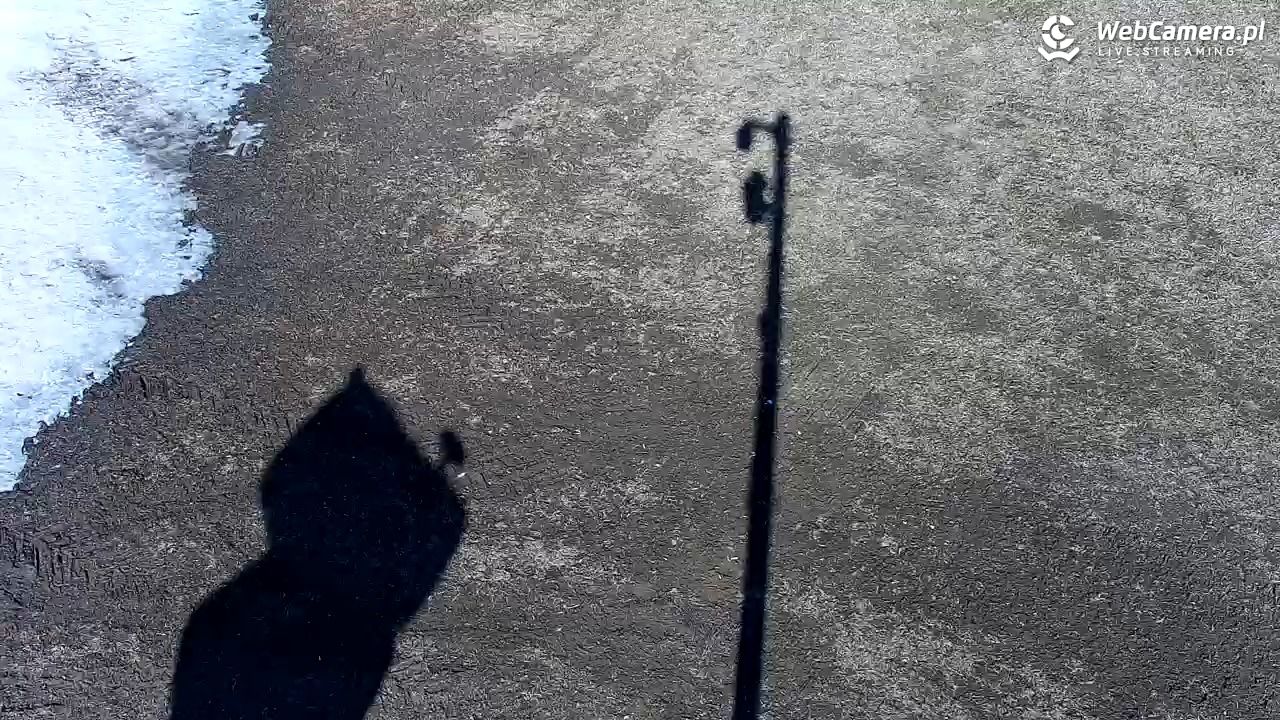 Kotlinka Szymbark - 21 marzec 2026, 11:16