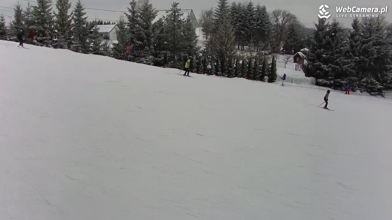 Kotlinka Szymbark - 08 luty 2026, 12:06