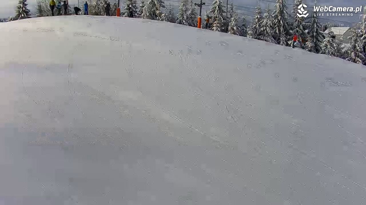 Kotlinka Szymbark - 15 luty 2026, 09:12