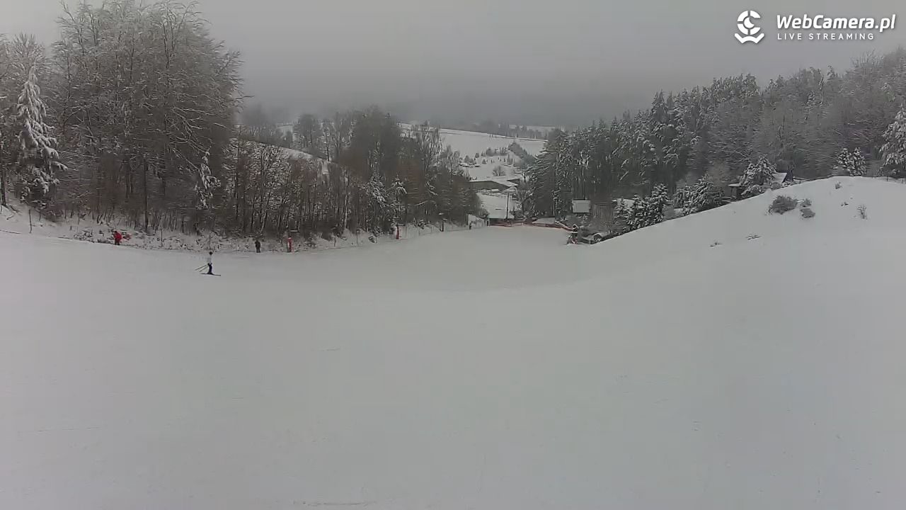 Kotlinka Szymbark - 13 luty 2026, 16:21