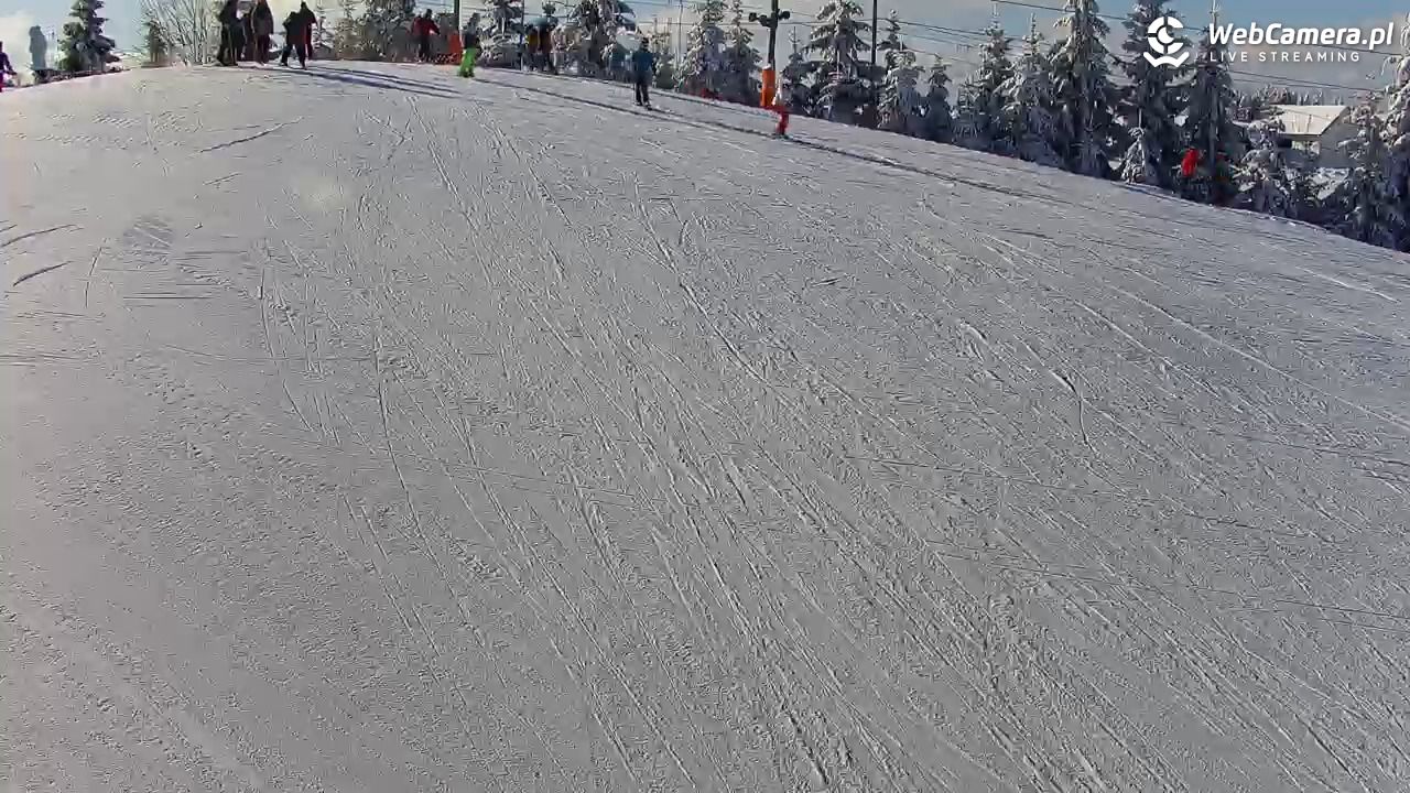 Kotlinka Szymbark - 15 luty 2026, 11:18