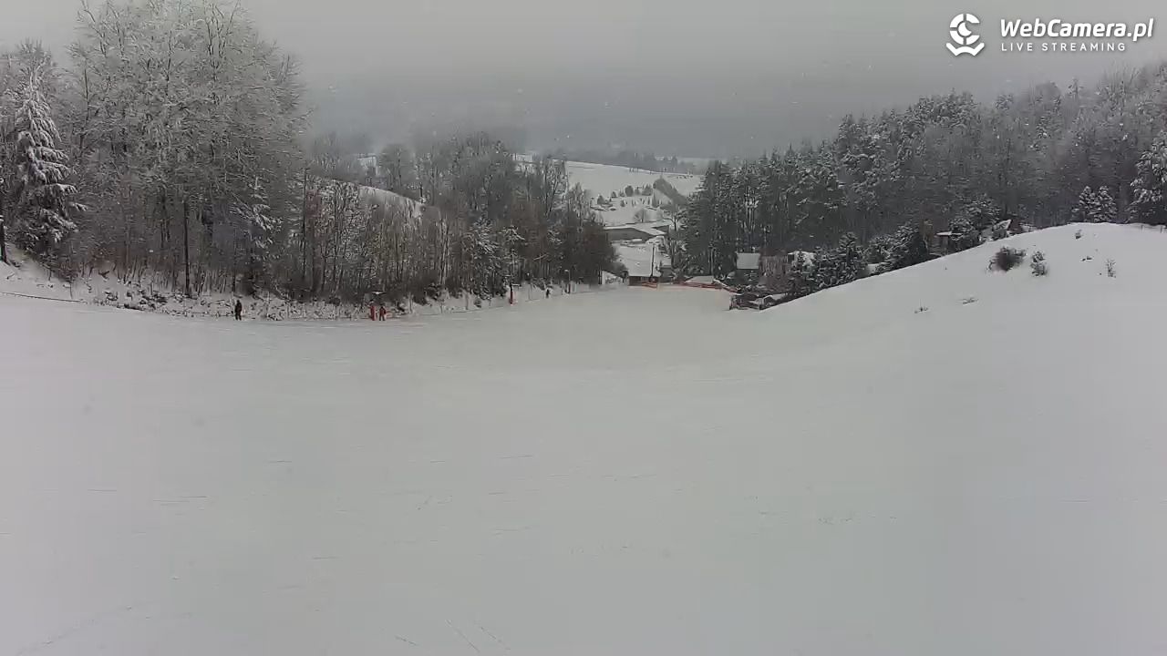 Kotlinka Szymbark - 12 luty 2026, 12:19