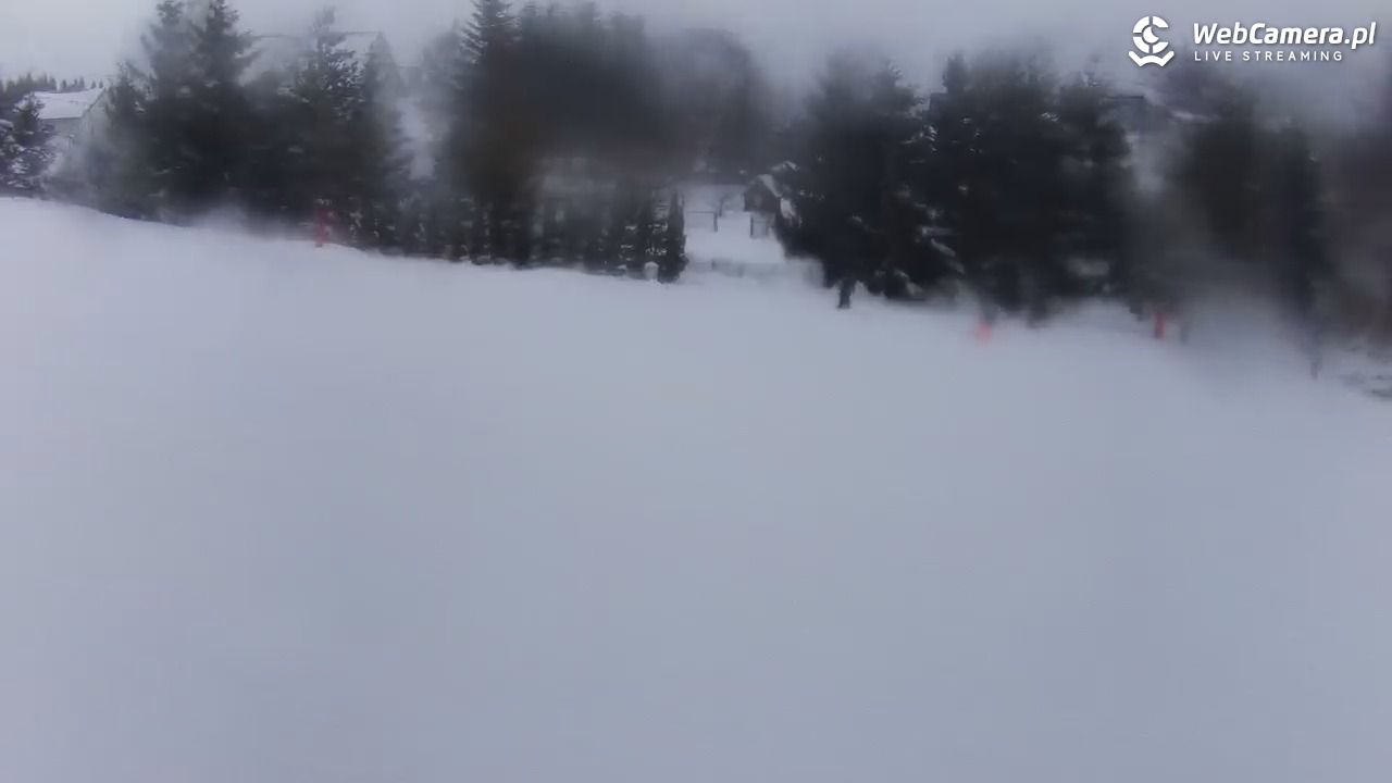 Kotlinka Szymbark - 21 luty 2026, 17:08