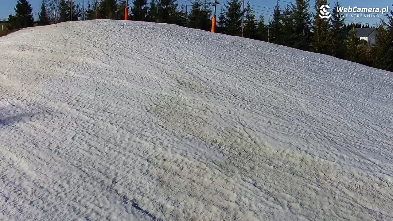 Kotlinka Szymbark - 21 marzec 2026, 08:05