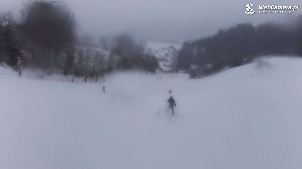 Kotlinka Szymbark - 21 luty 2026, 17:09