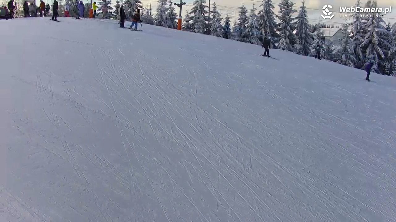 Kotlinka Szymbark - 15 luty 2026, 10:31