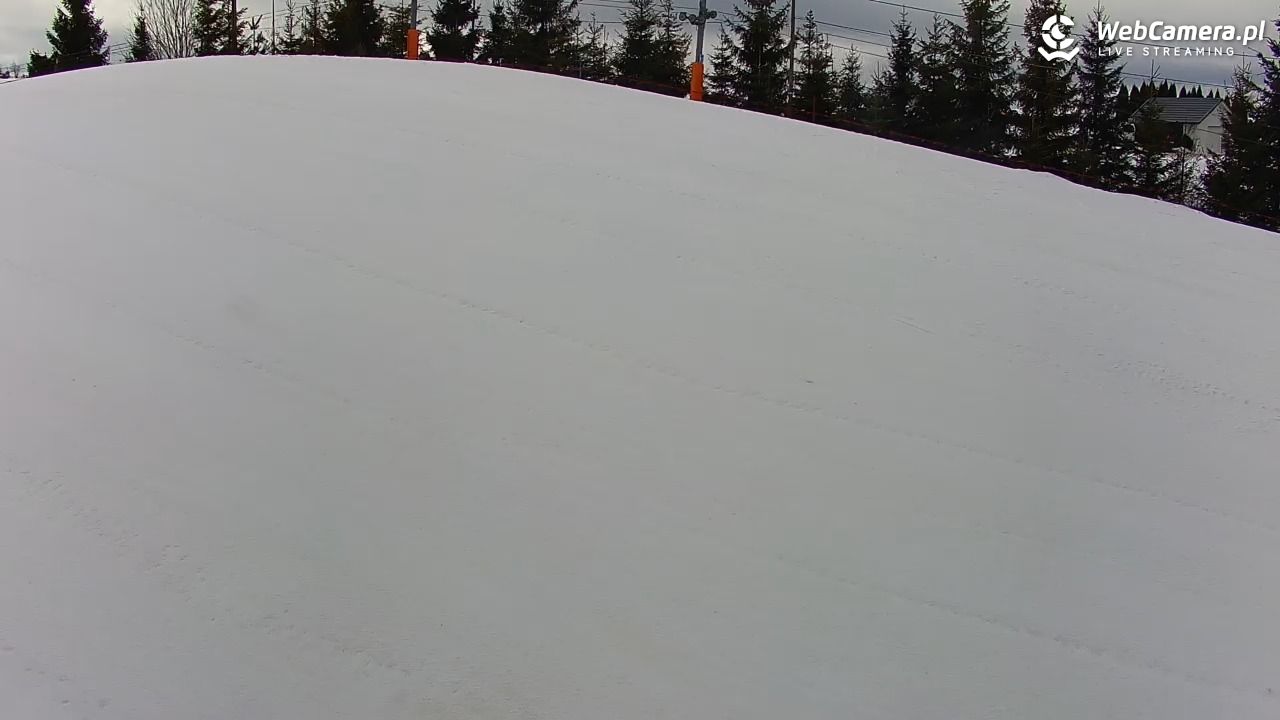 Kotlinka Szymbark - 24 luty 2026, 11:37