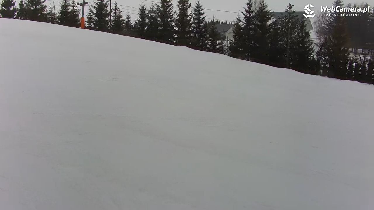Kotlinka Szymbark - 23 luty 2026, 13:31