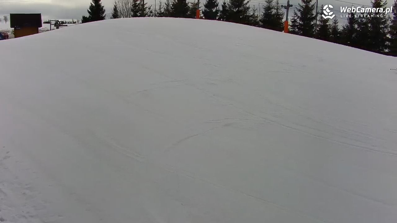 Kotlinka Szymbark - 24 luty 2026, 12:18