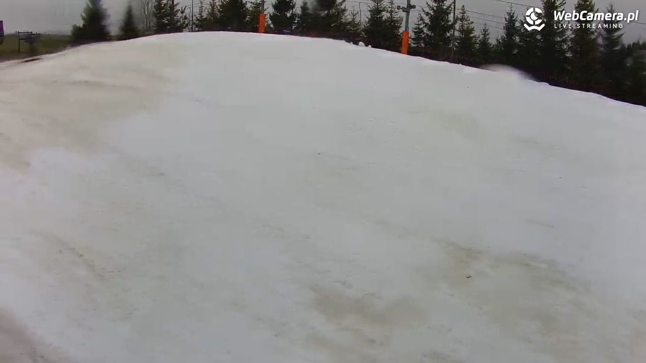 Kotlinka Szymbark - 15 marzec 2026, 12:54