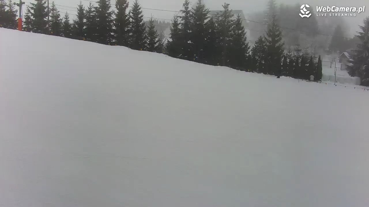 Kotlinka Szymbark - 17 styczeń 2026, 15:06