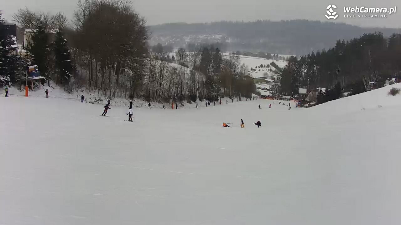 Kotlinka Szymbark - 21 luty 2026, 10:46