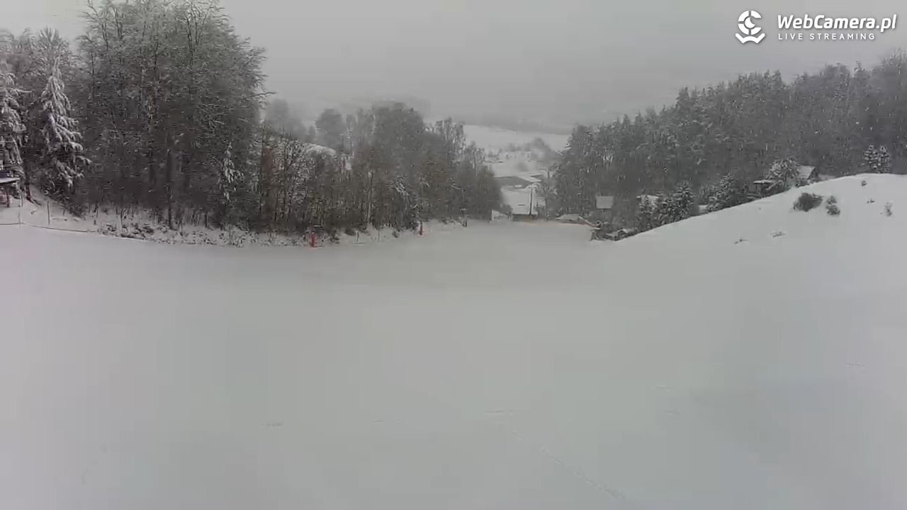 Kotlinka Szymbark - 13 luty 2026, 08:54