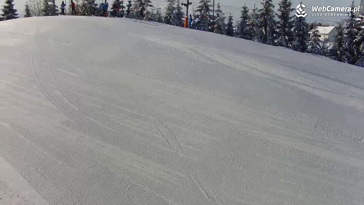 Kotlinka Szymbark - 16 luty 2026, 10:41