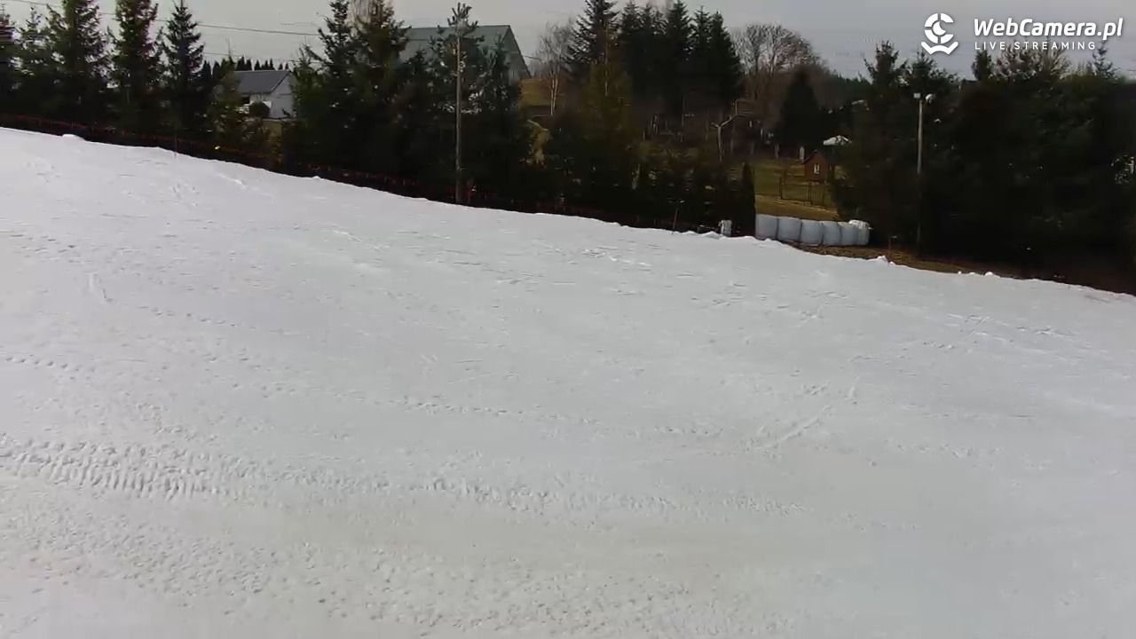 Kotlinka Szymbark - 14 marzec 2026, 11:22