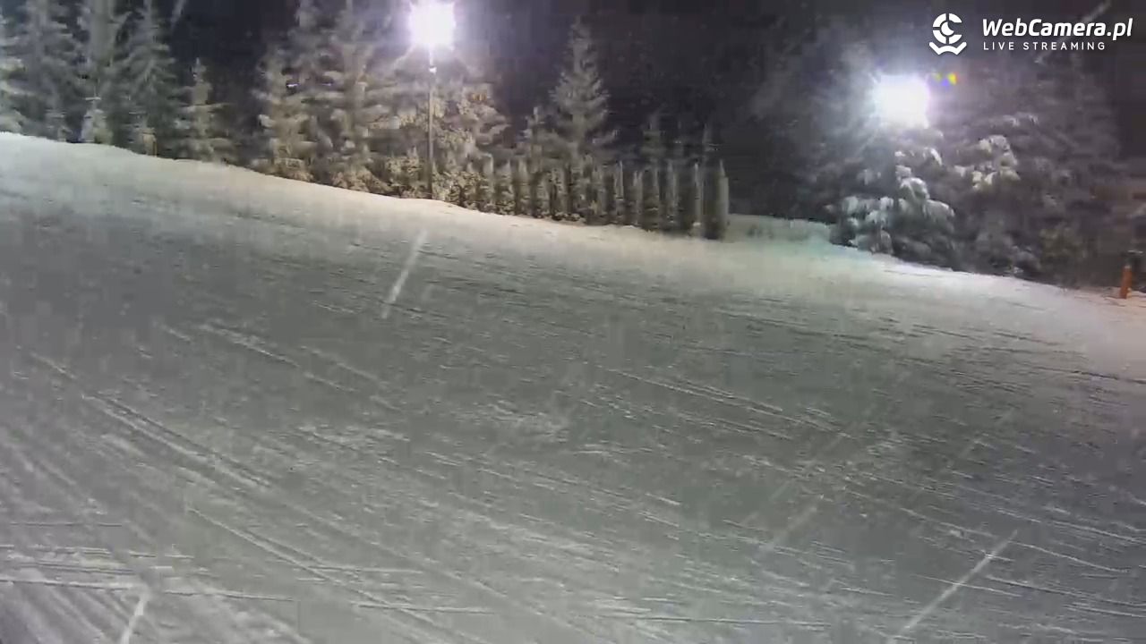 Kotlinka Szymbark - 12 luty 2026, 18:03