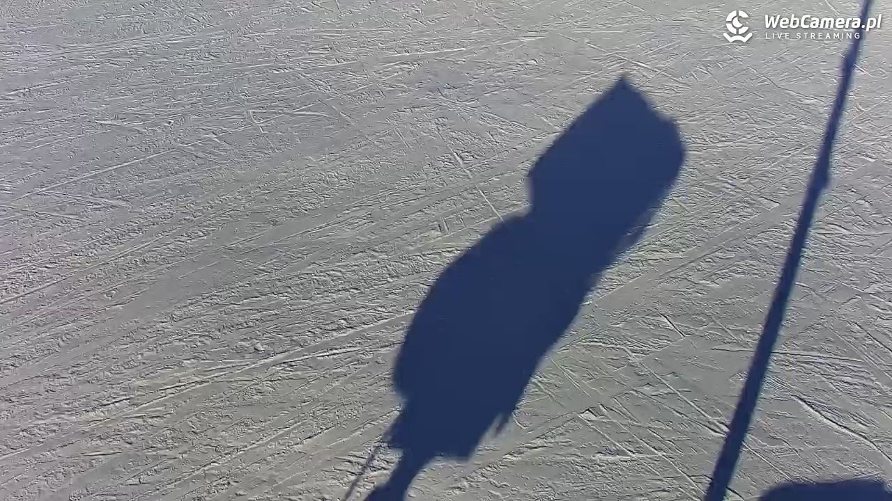 Kotlinka Szymbark - 15 luty 2026, 12:33