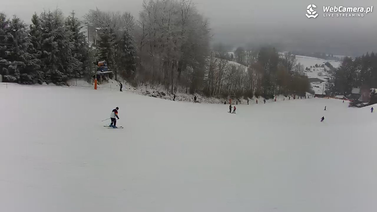Kotlinka Szymbark - 28 styczeń 2026, 15:02