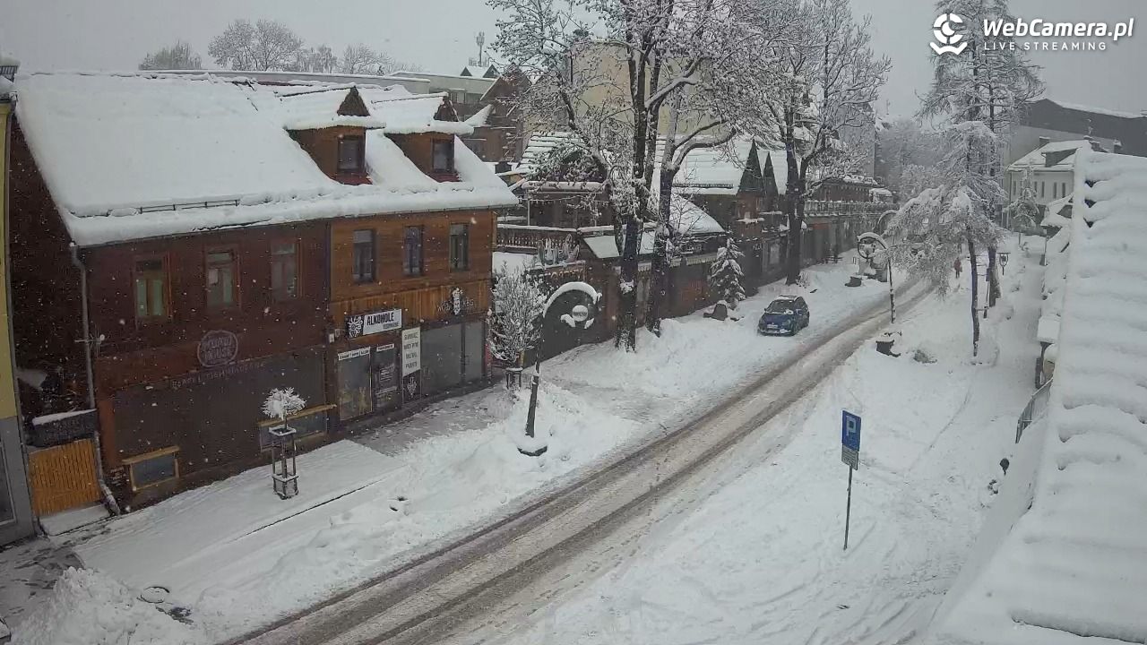 Krupówki Dolne - widok na deptak - 31 marzec 2026, 08:51