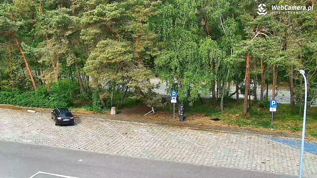 Krynica Morska ul. Marynarska NOWOŚĆ - 19 maj 2025, 08:52