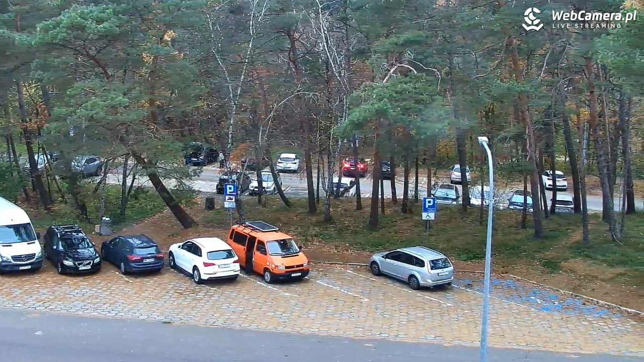 Krynica Morska ul. Marynarzy NOWOŚĆ - 09 listopad 2025, 15:20