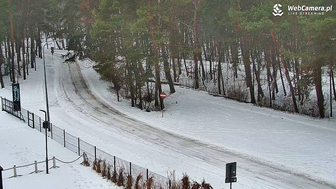 Krynica Morska ul. Marynarzy NOWOŚĆ - 12 luty 2026, 09:06