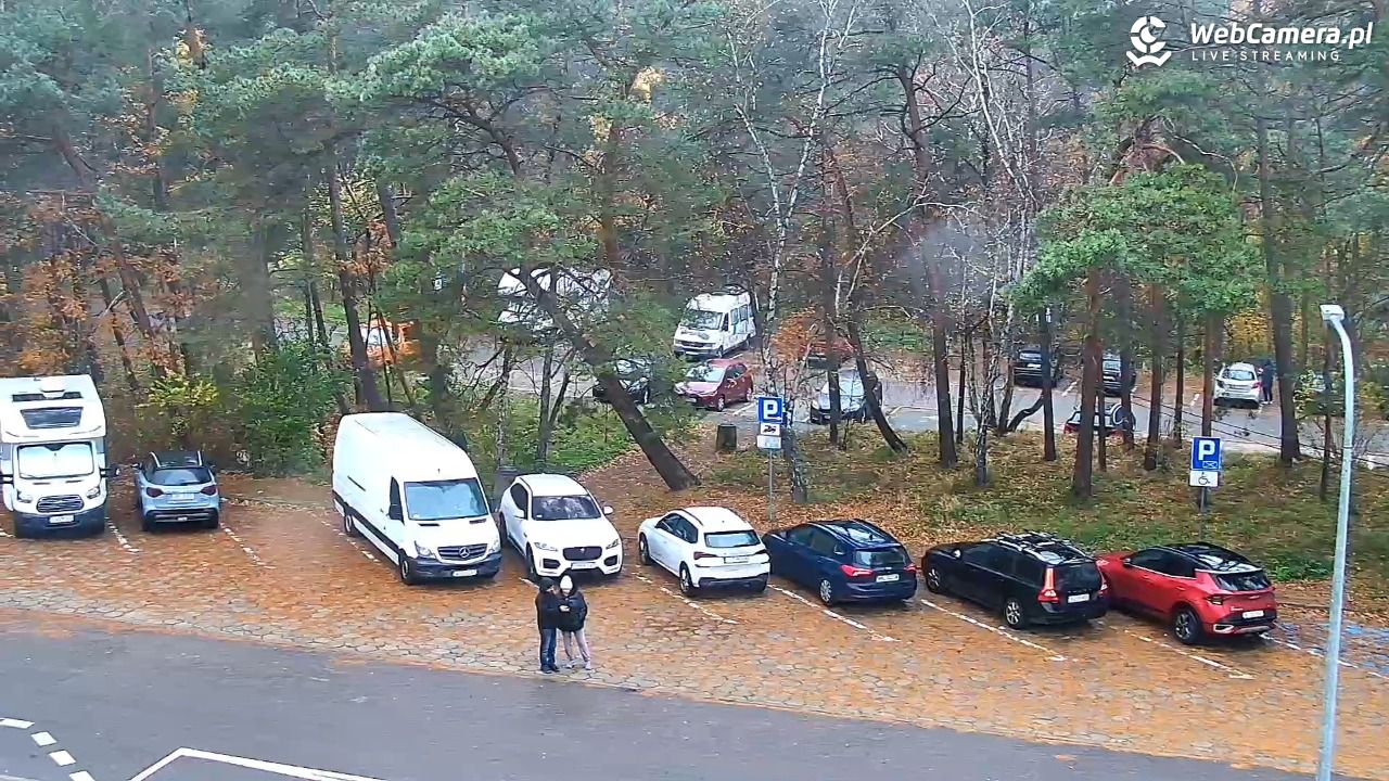 Krynica Morska ul. Marynarzy NOWOŚĆ - 10 listopad 2025, 11:34