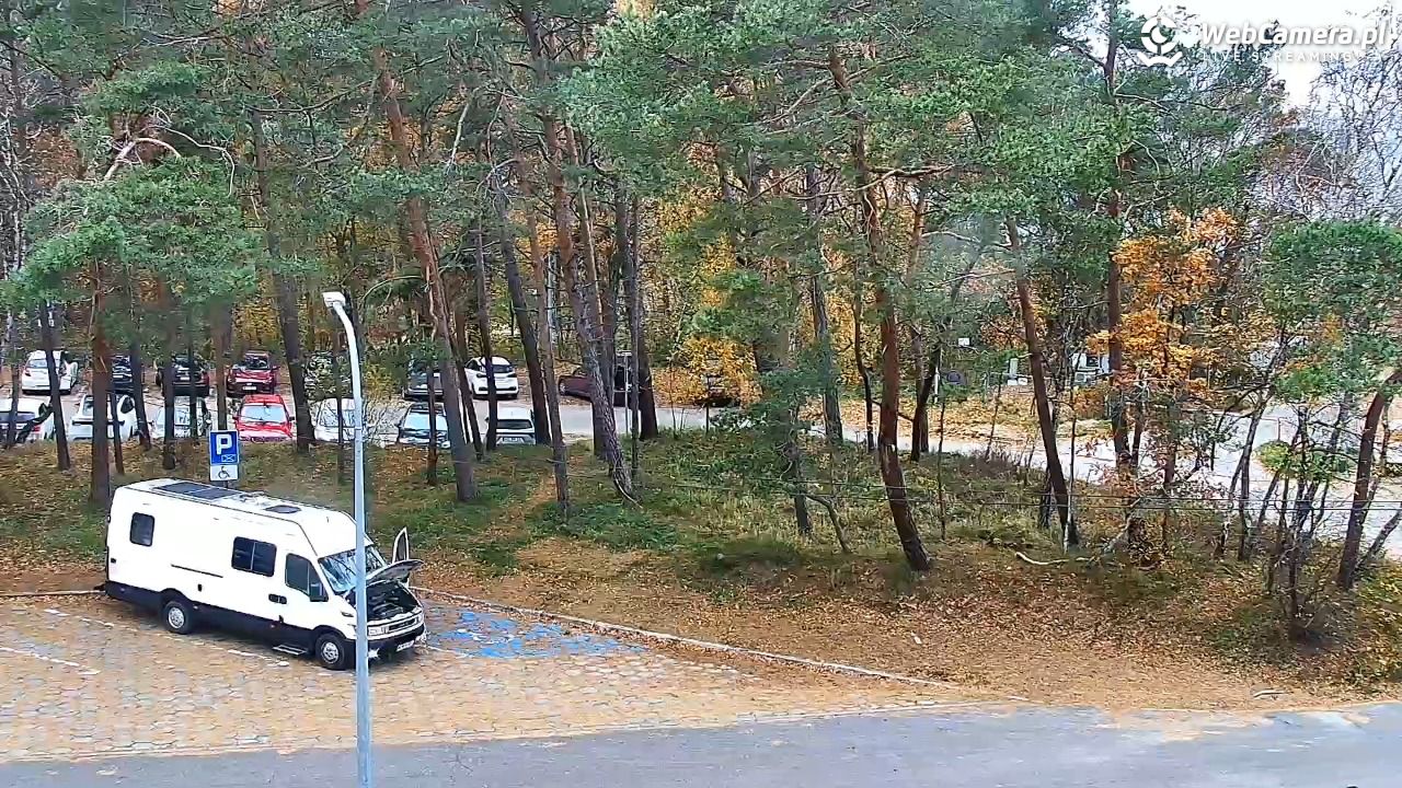 Krynica Morska ul. Marynarzy NOWOŚĆ - 09 listopad 2025, 11:55